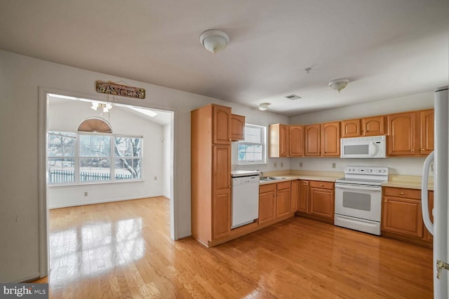 kitchen featuring sink, white appliances, light hardwood / wood-style floors, and a healthy amount of sunlight