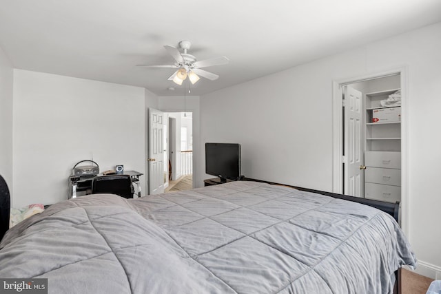 bedroom featuring ceiling fan, a closet, and a walk in closet