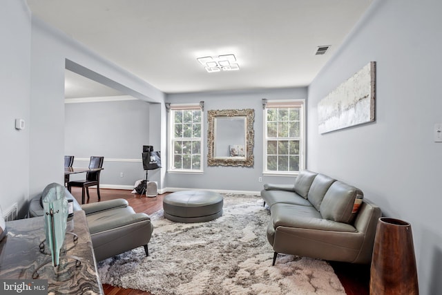 living room with hardwood / wood-style flooring