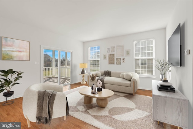 living room featuring hardwood / wood-style floors