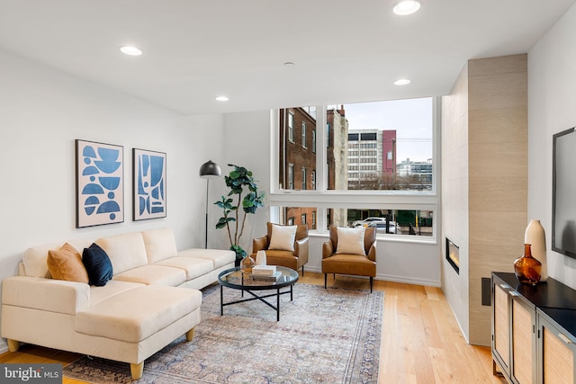 living room featuring light hardwood / wood-style floors