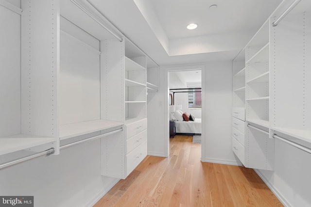 walk in closet with light hardwood / wood-style flooring