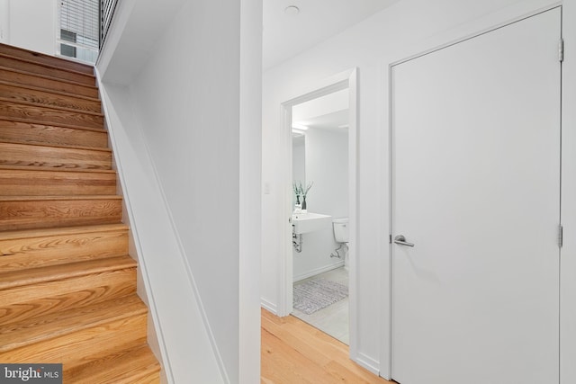 stairway with hardwood / wood-style flooring