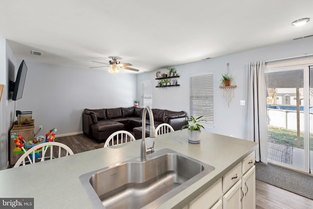 kitchen featuring ceiling fan, sink, and hardwood / wood-style flooring