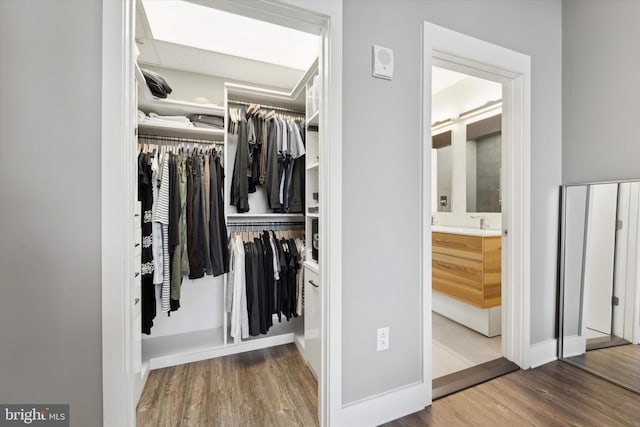 view of closet