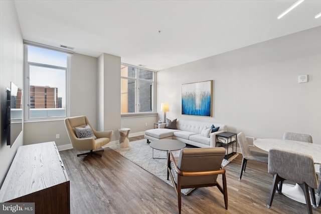 living room featuring wood-type flooring and a wealth of natural light