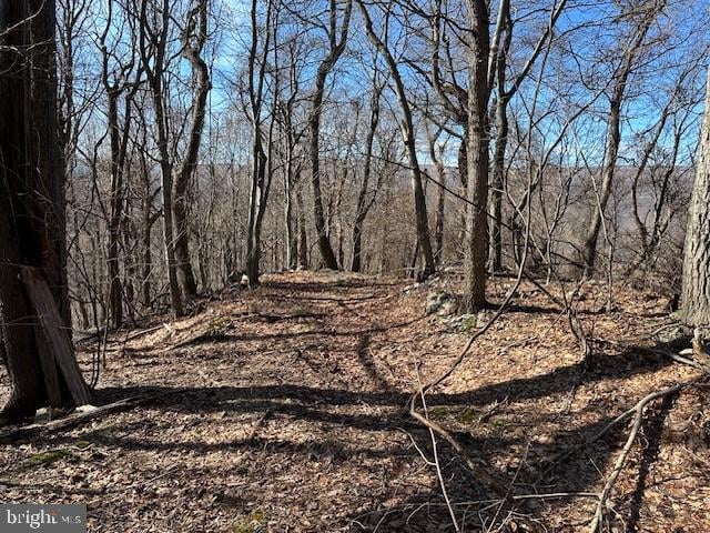 Listing photo 3 for 18.08AC Bear Ridge Rd, New Creek WV 26743