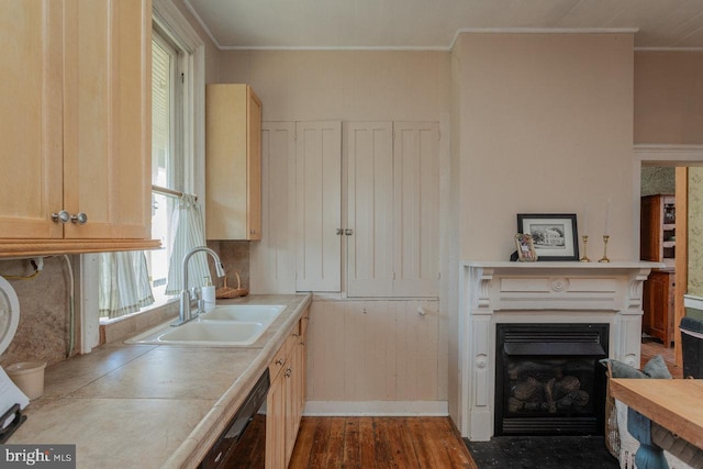 kitchen featuring a wealth of natural light, tile counters, dark wood-type flooring, and sink