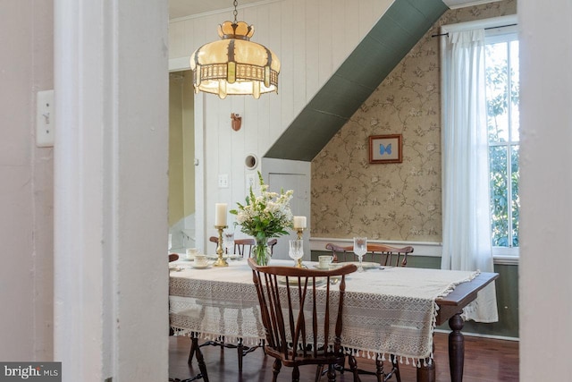 dining room with dark hardwood / wood-style flooring