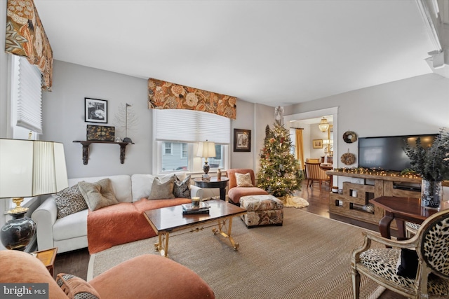 living room featuring hardwood / wood-style flooring