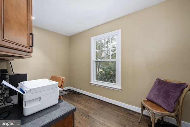 office featuring dark wood-type flooring