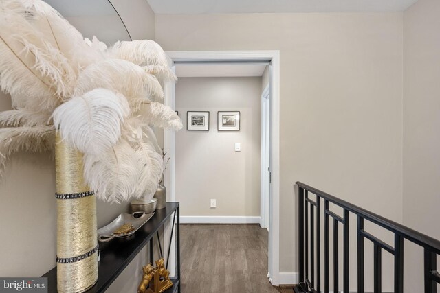 hallway with dark hardwood / wood-style flooring