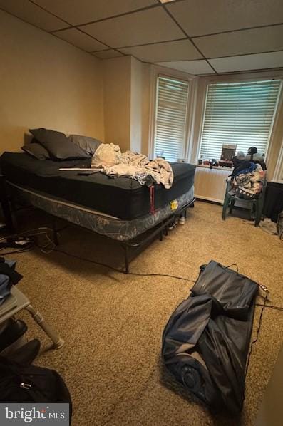 bedroom with a paneled ceiling and carpet floors