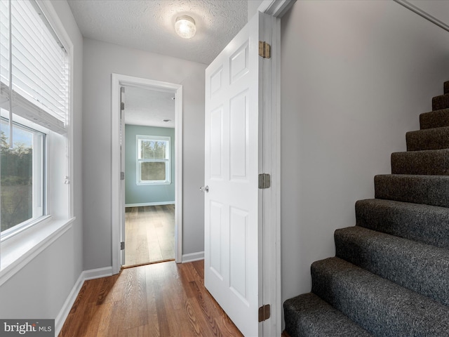 stairway featuring wood-type flooring and a textured ceiling