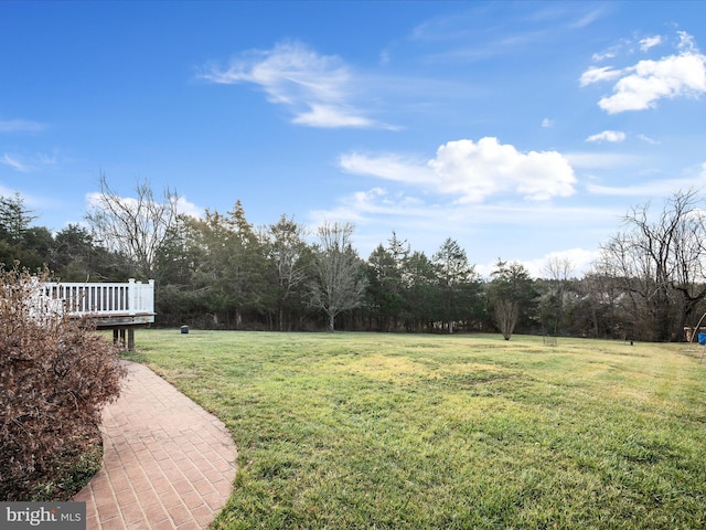 view of yard featuring a deck