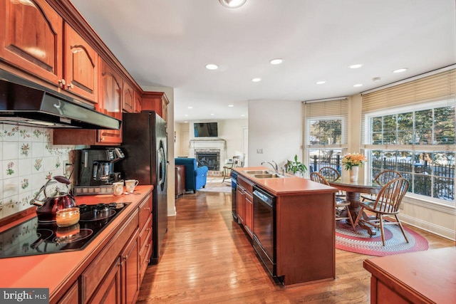 kitchen featuring backsplash, under cabinet range hood, light wood-style floors, black appliances, and a sink