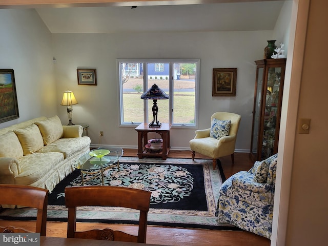 living room featuring hardwood / wood-style floors