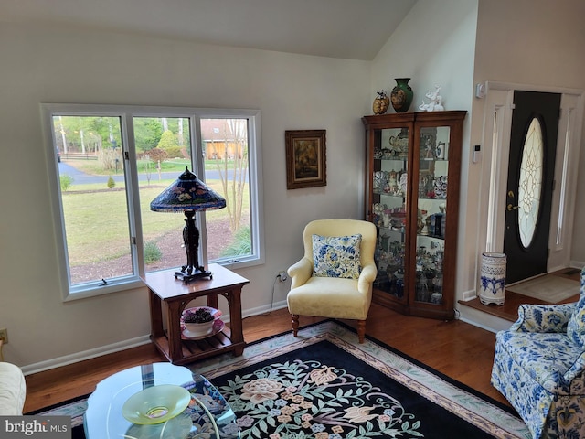 living area with wood-type flooring and vaulted ceiling