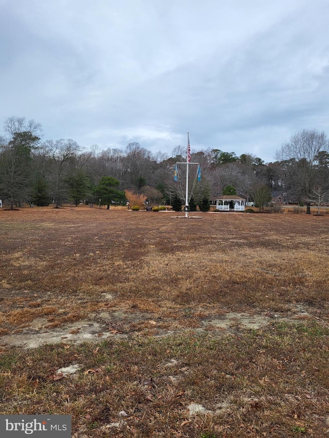 view of yard featuring a rural view