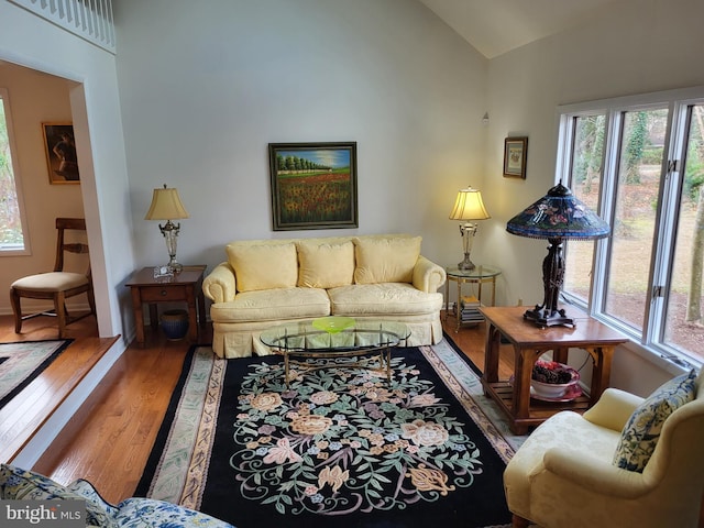 living room featuring a wealth of natural light, vaulted ceiling, and hardwood / wood-style flooring