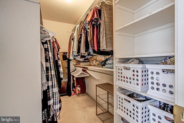 spacious closet with light carpet