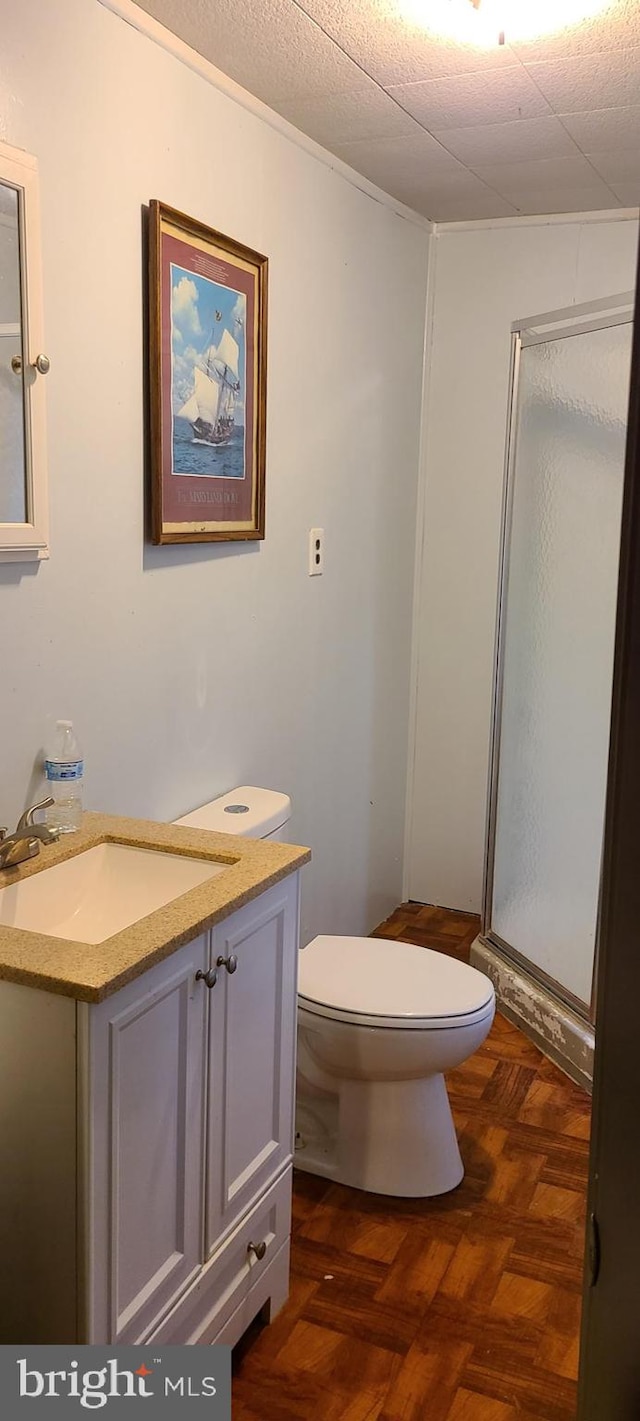 full bathroom featuring a stall shower, vanity, and toilet