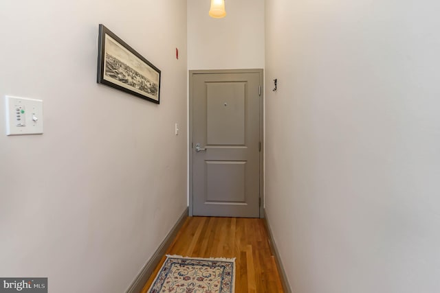 doorway to outside featuring wood-type flooring