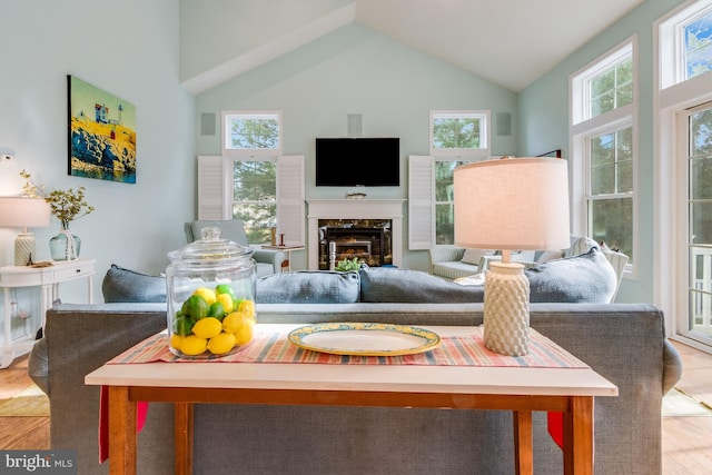 living room featuring plenty of natural light, high vaulted ceiling, and light wood-type flooring