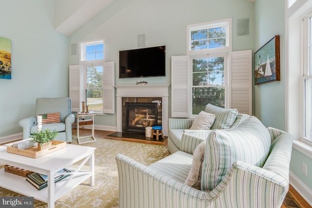 living room featuring a fireplace, wood-type flooring, and high vaulted ceiling