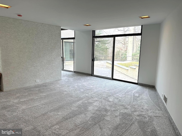 empty room with carpet floors and expansive windows