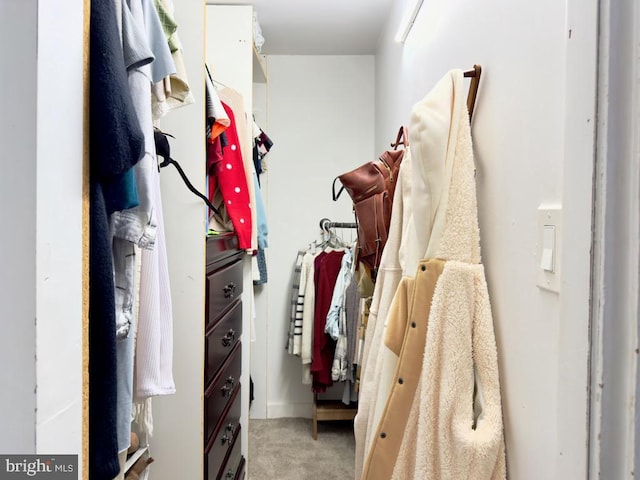 walk in closet featuring carpet flooring