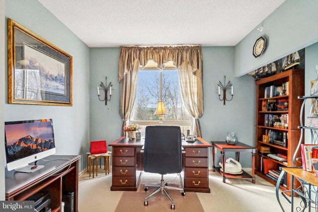 office space featuring light carpet and a textured ceiling