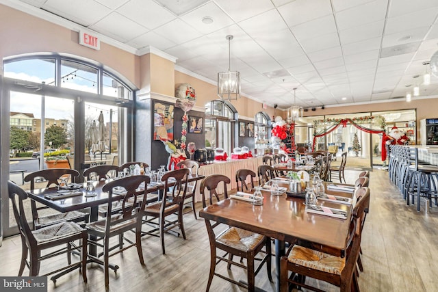 dining space featuring a paneled ceiling, wood-type flooring, crown molding, and a chandelier