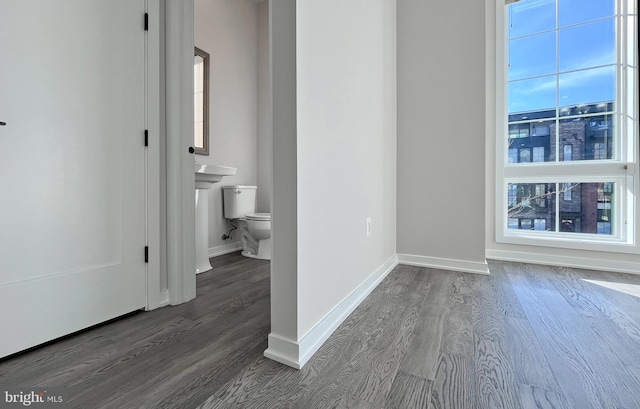 spare room with dark hardwood / wood-style flooring and a wealth of natural light