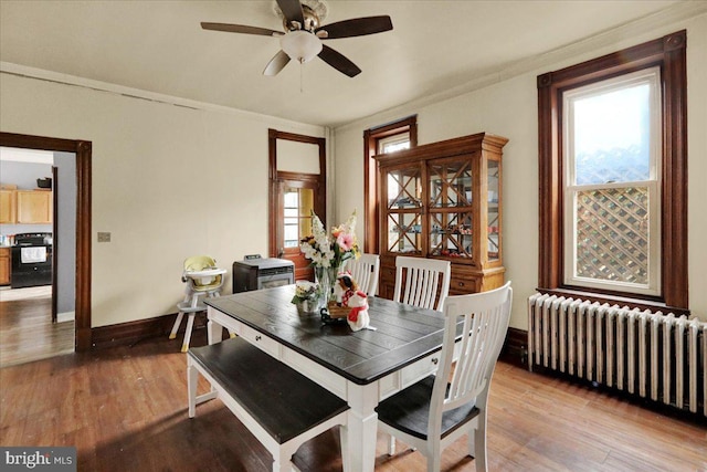 dining room with hardwood / wood-style flooring, ceiling fan, radiator heating unit, and ornamental molding