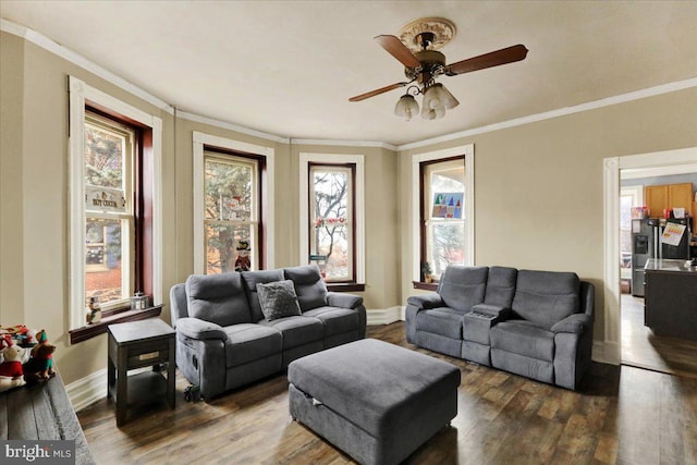 living room featuring hardwood / wood-style flooring, ceiling fan, and ornamental molding