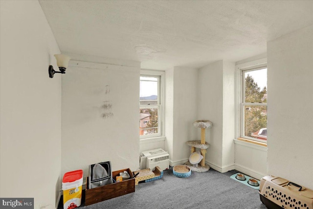 miscellaneous room featuring carpet and a textured ceiling