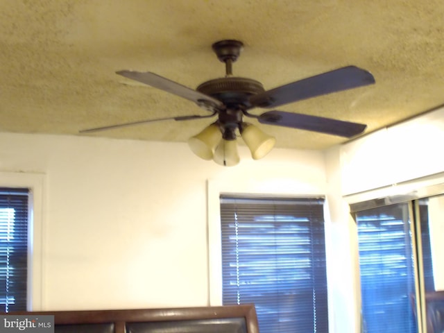 details featuring ceiling fan