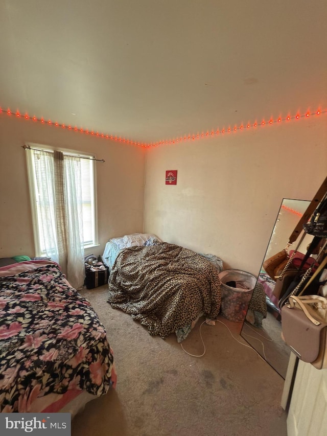 bedroom with carpet