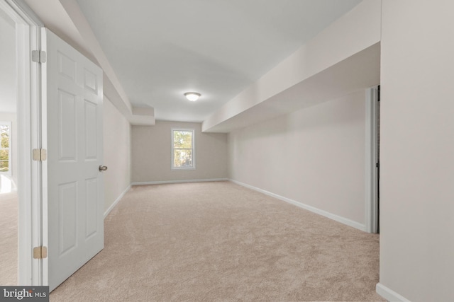 basement featuring light colored carpet