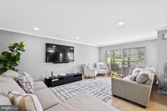 living room featuring crown molding and light hardwood / wood-style flooring