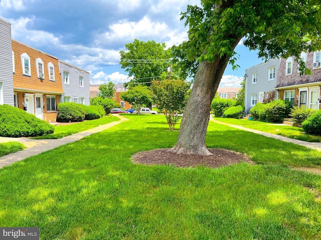 view of home's community with a lawn