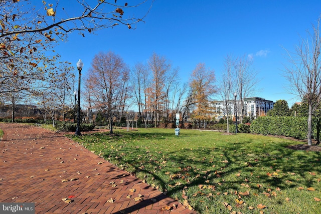 surrounding community featuring a yard