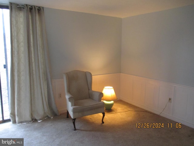 sitting room with carpet floors