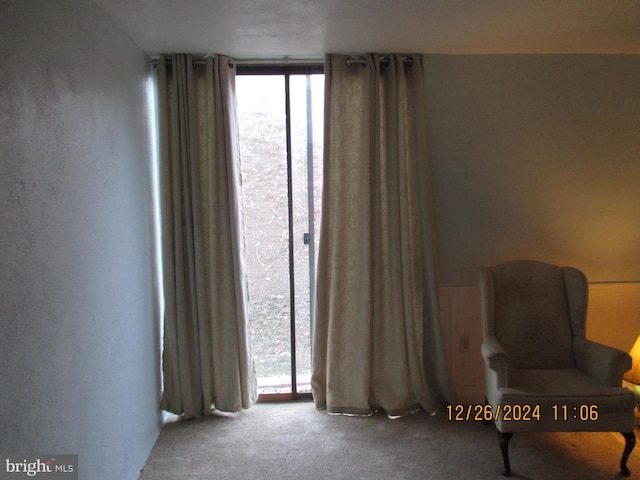 unfurnished room with carpet floors and a wall of windows