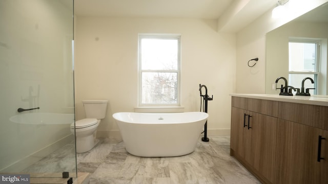 bathroom with a bath, vanity, toilet, and a healthy amount of sunlight