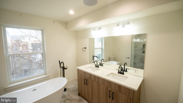 bathroom with a washtub, vanity, plenty of natural light, and toilet