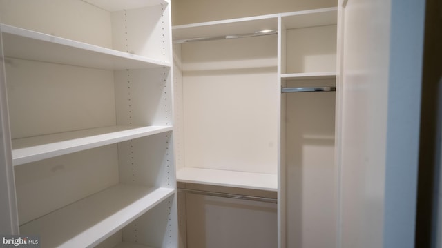 view of walk in closet