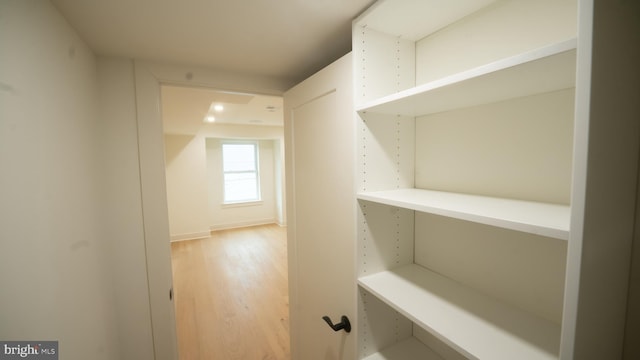 spacious closet with hardwood / wood-style floors