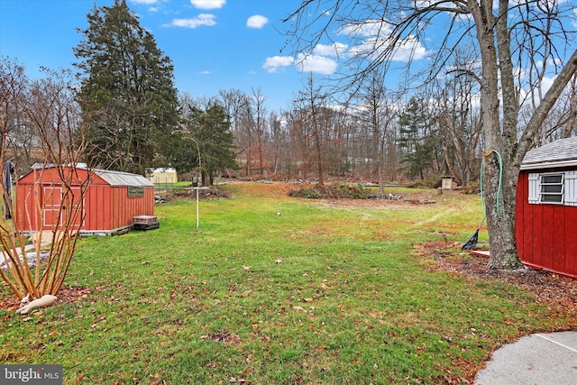 view of yard with a storage shed